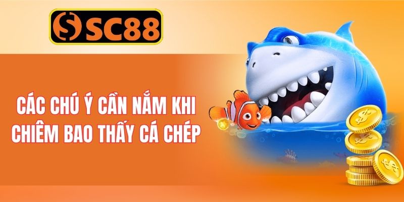 Các chú ý cần nắm khi chiêm bao thấy cá chép