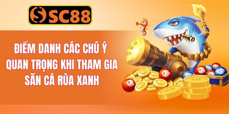 Điểm danh các chú ý quan trọng khi tham gia săn cá rùa xanh